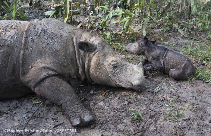 The Power of Connections: Endangered Species Day