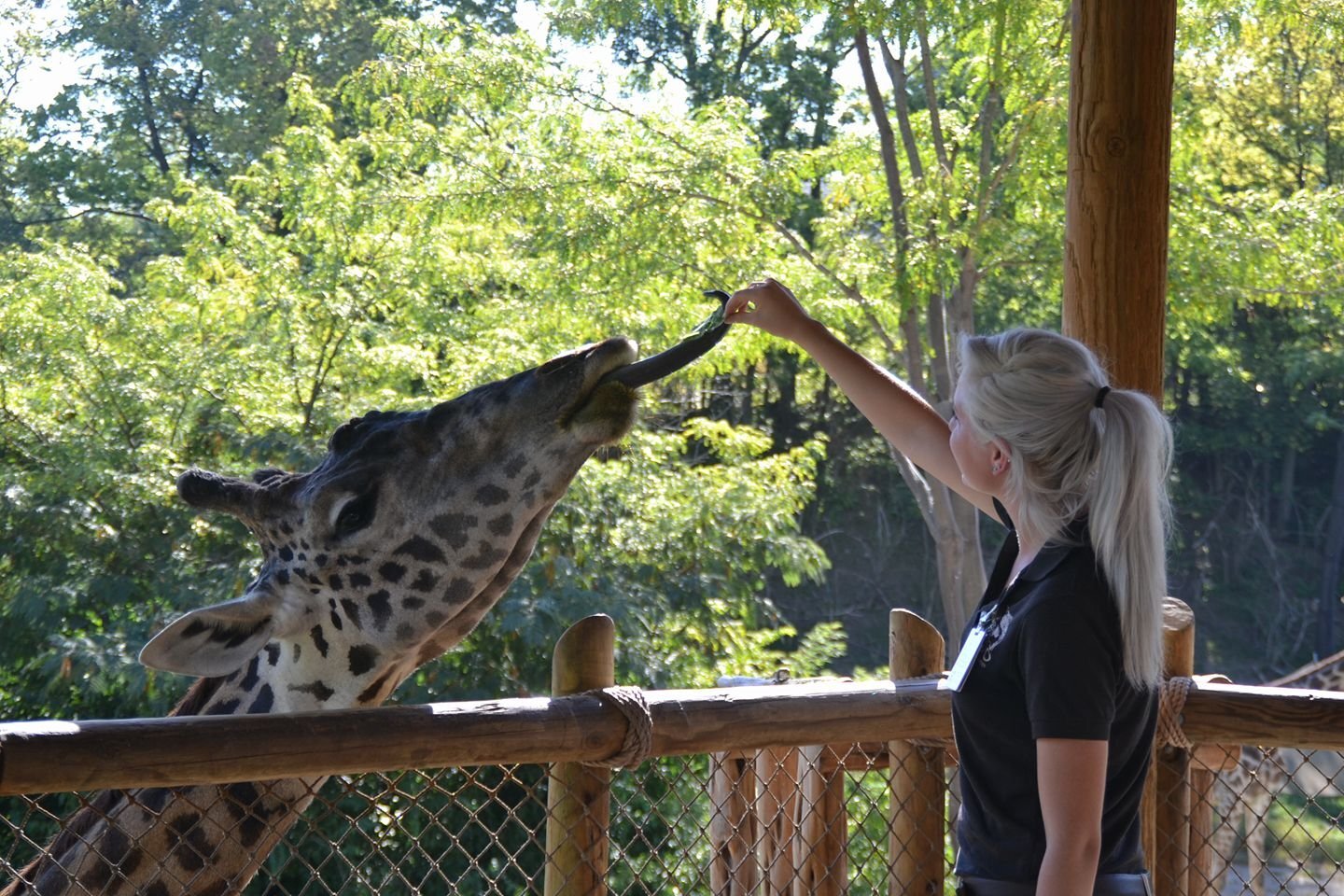Five Ways the Zoo Can Get Your Child Excited About Healthy Eating