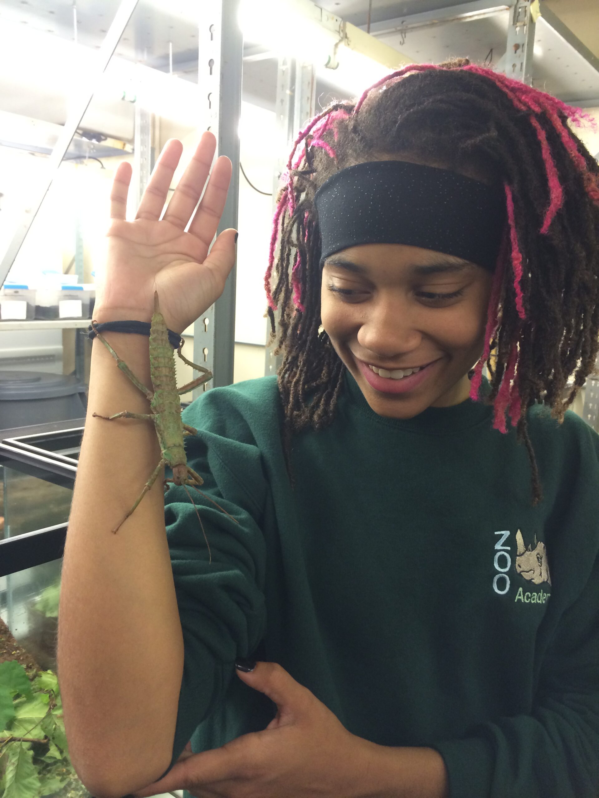 zoo academy student holding insect
