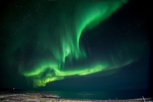 Looking for hope in dancing lights, innovation, and community-based conservation