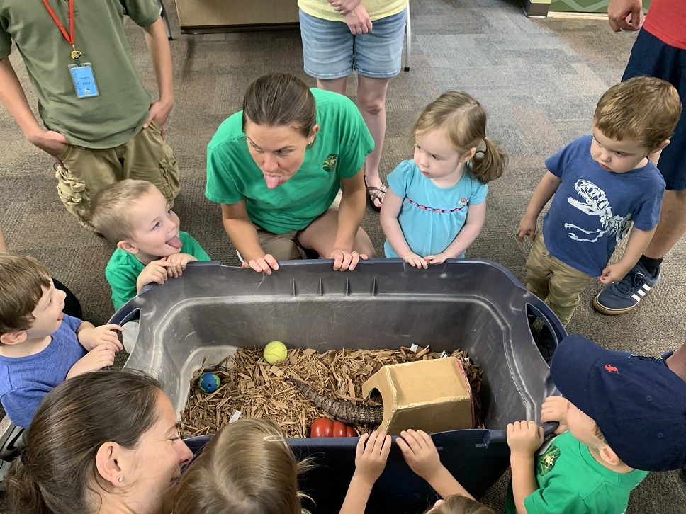group of small chidlren and an educator standing/kneeling around a large plastic tub filled iwth mulch, with a lizard inside hiding in a small box