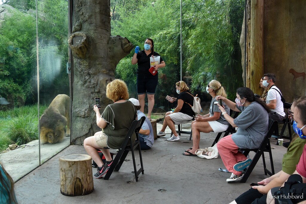 breakfast with the animals