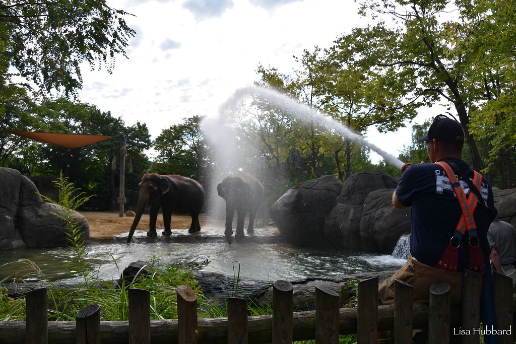Cincinnati Zoo Offers Free Admission for First Responders and Military 9/6 – 9/9