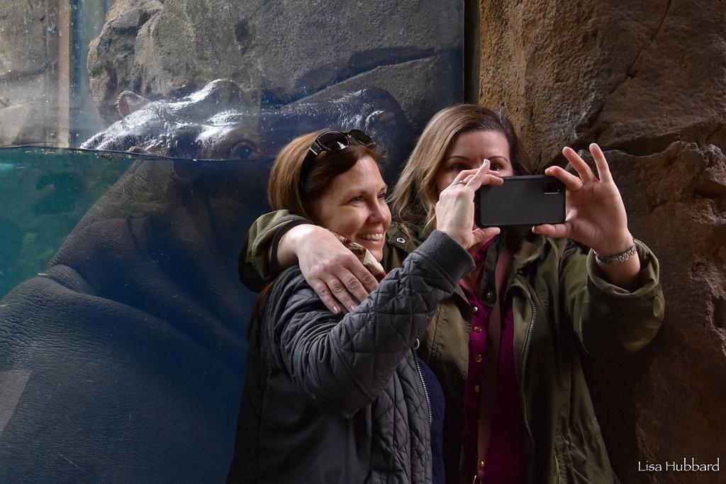 New Mobile App Enhances Cincinnati Zoo Visitor Experience