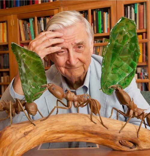 E.O. Wilson