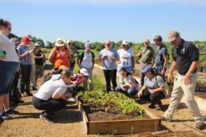 AIP graduate students looking at plants at Bowyer Farm.