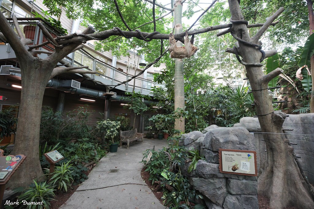 P&G Discovery Forest
