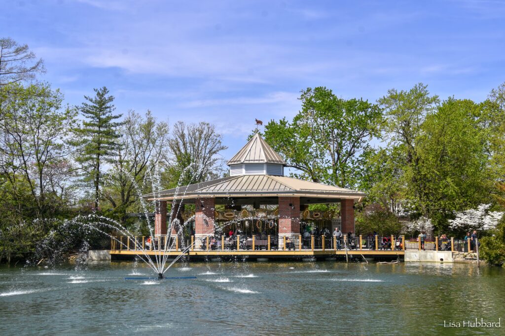 carousel and water