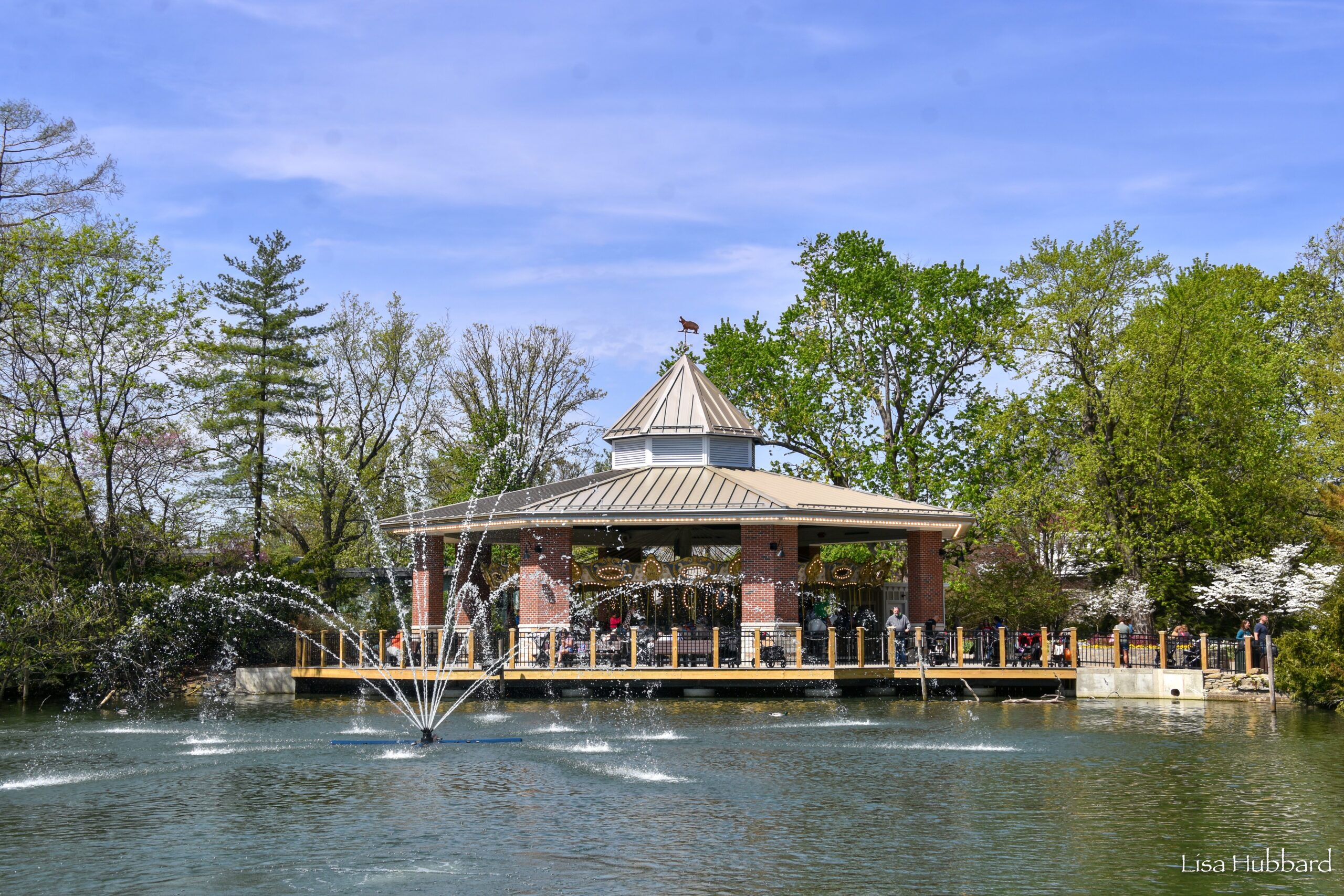 carousel and water