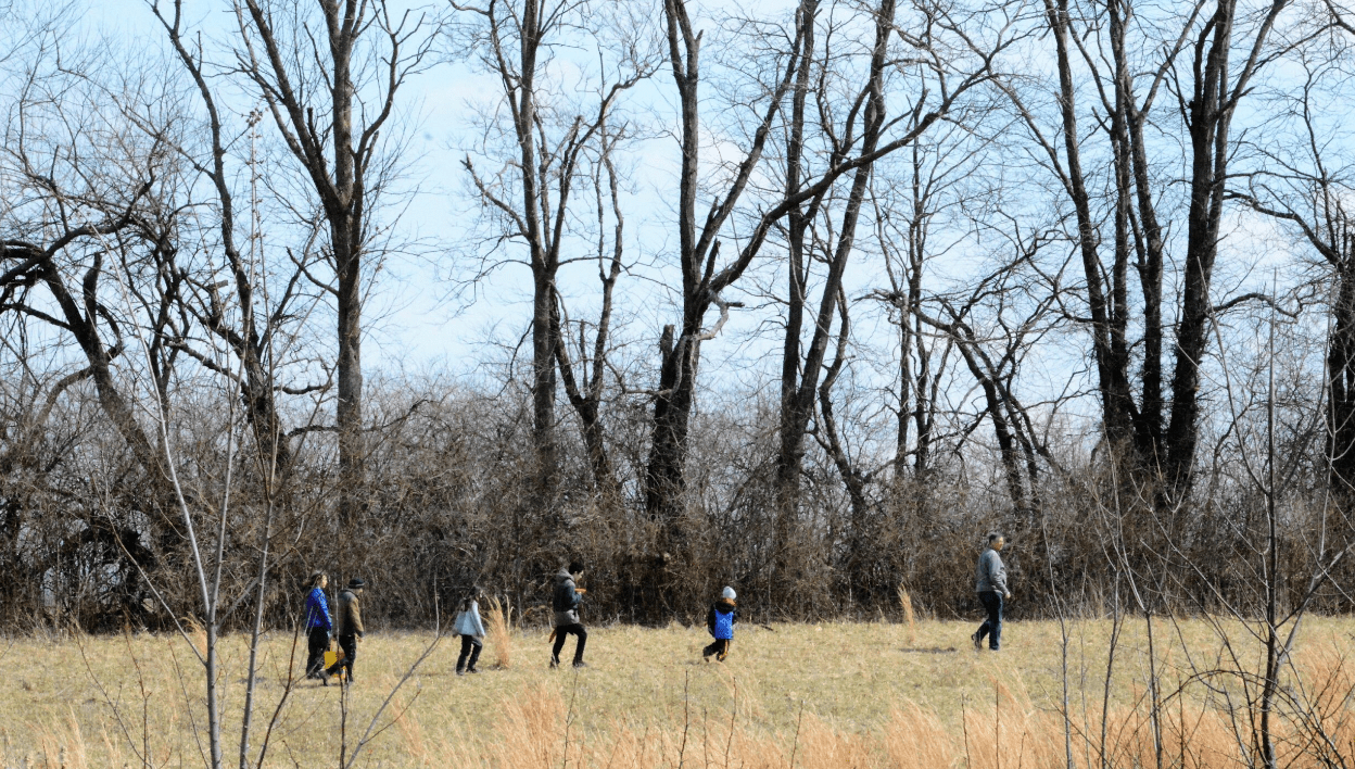 Updates from Bowyer Farm