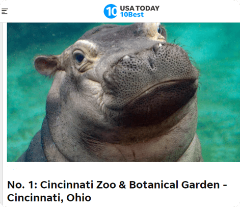 photo of USA today article naming the Cincinnati Zoo as #1 zoo in the country with a photo of baby fiona the hippo