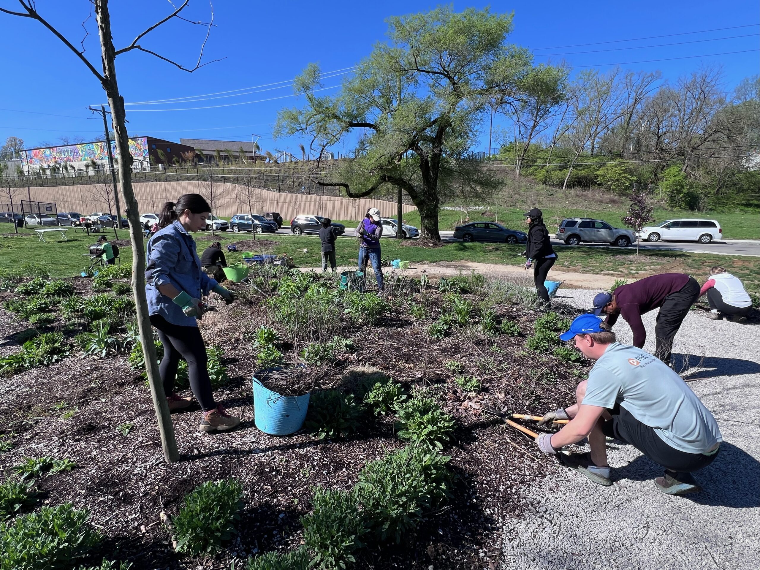 Cincinnati Zoo’s Ambassador Council Spruces up Neighboring Park