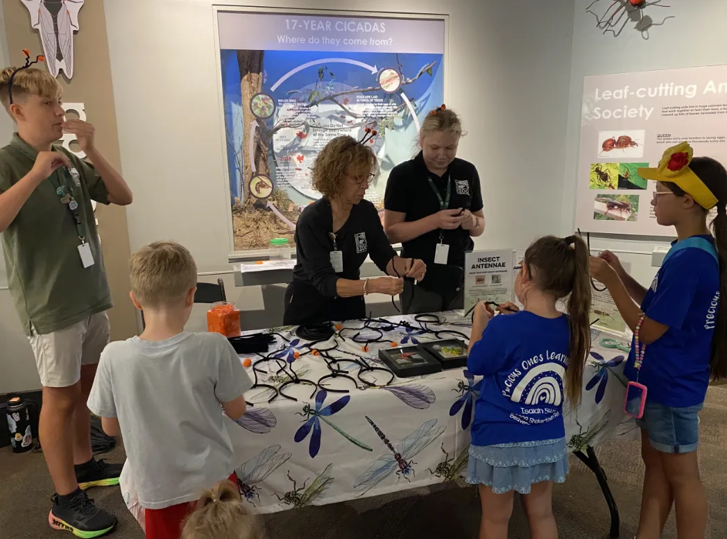 insect fest kids making a craft