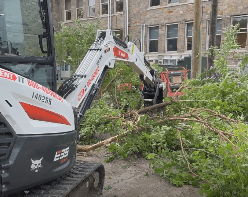 Cincinnati Zoo Animals Feast on Foliage Harvested from Site of 2024 Community Makeover