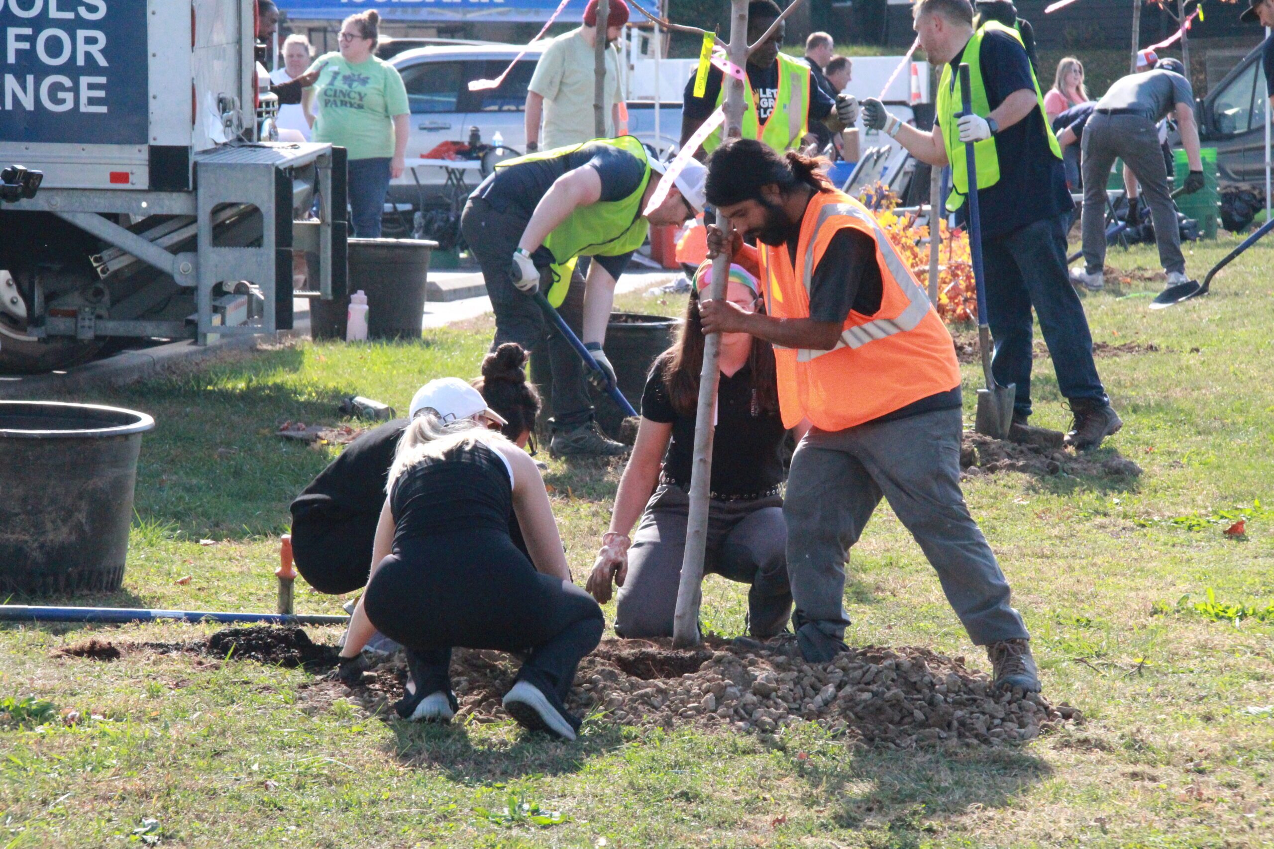 Let’s Grow Local: Partnering to plant over 200 trees in Avondale