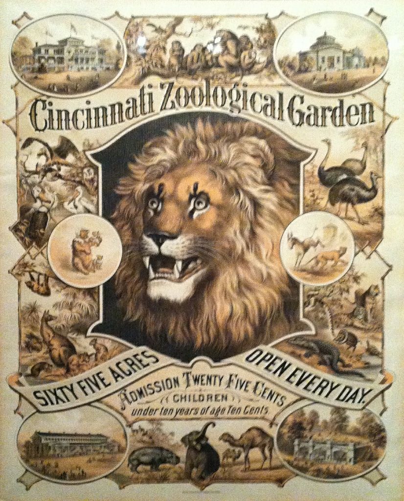 Historic Zoo Flyer