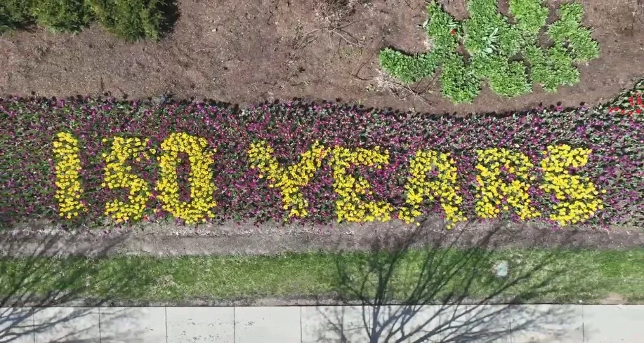 Peak Tulip Bloom Time is Right Around the Corner at the Cincinnati Zoo & Botanical Garden