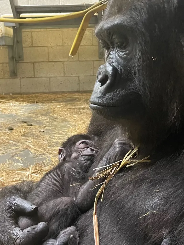 Gladys and baby boy