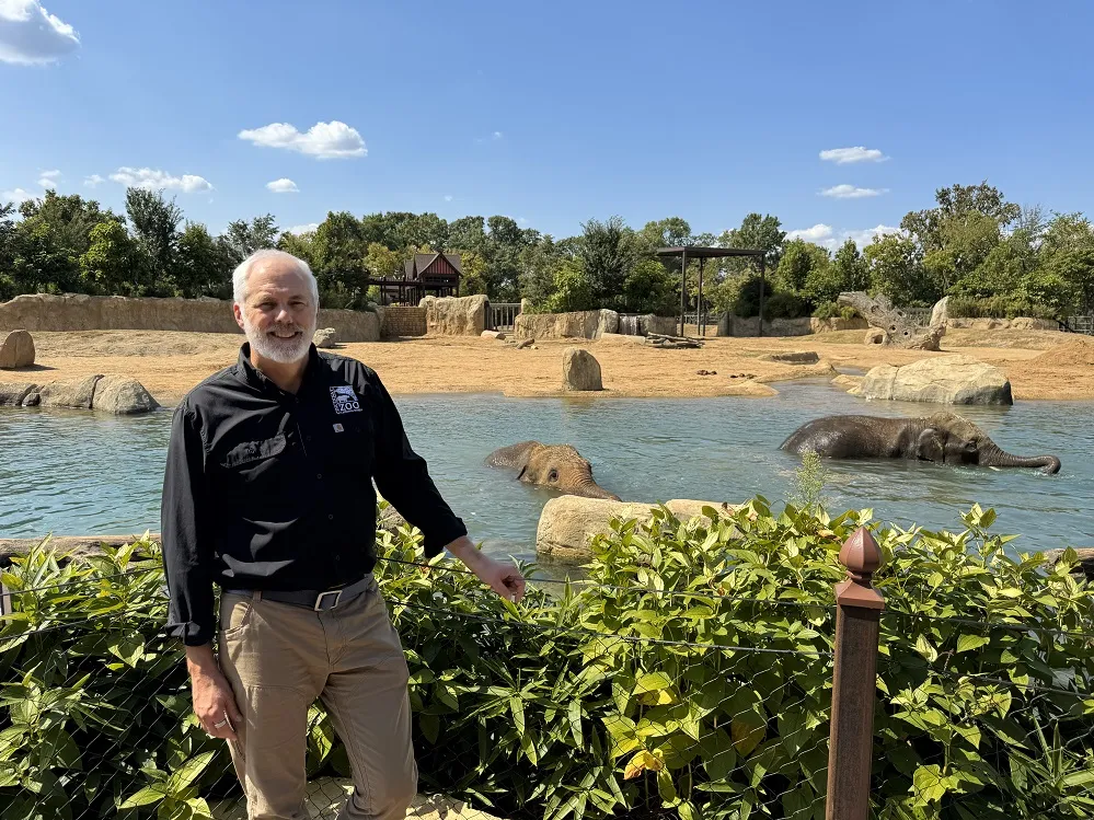 Zoo Director Dave Jenike standing in front of the elephant pool and two elephants are swimming