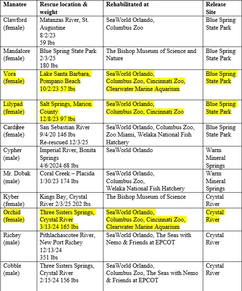 Manatee list of released manatees