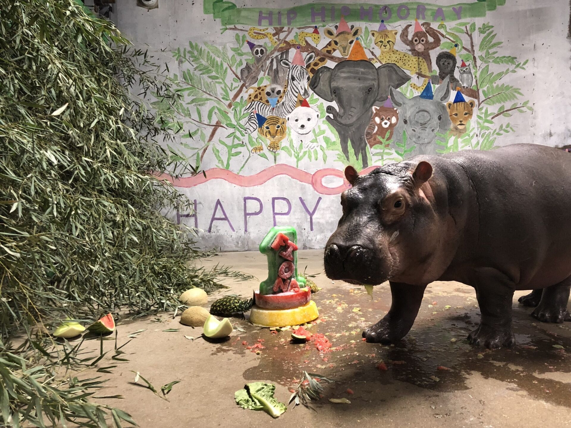 Fiona eating a cake for her 1st birthday