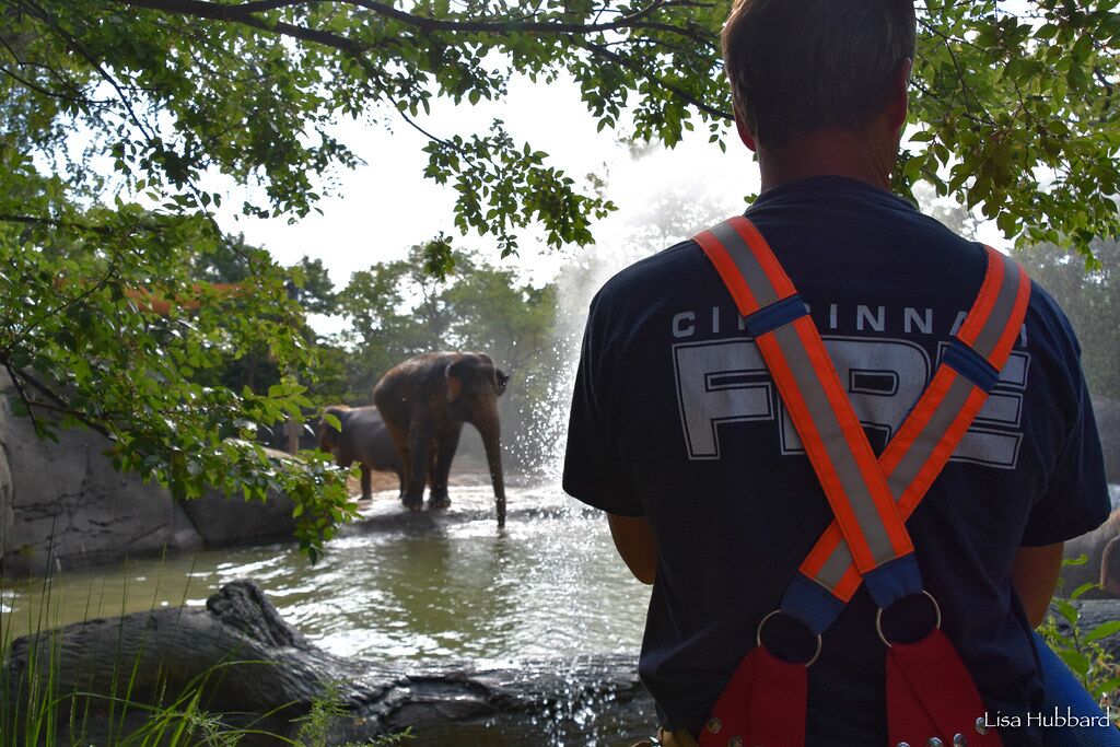 firewomen giving elephant a bath with fire hose
