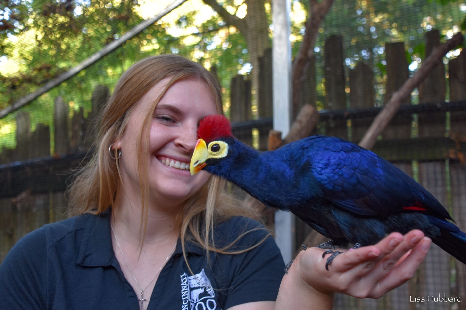 woman holding turaco bird