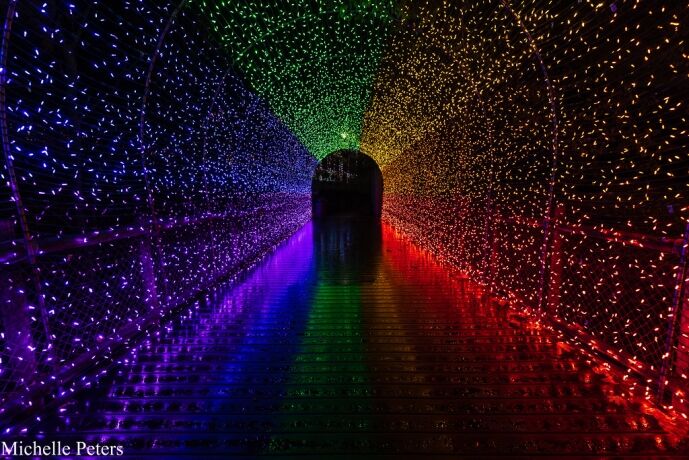 PNC Festival of Lights - Cincinnati Zoo & Botanical Garden