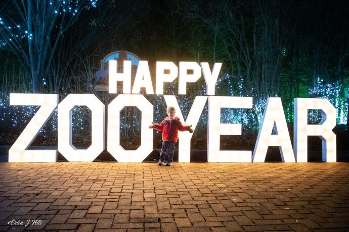 Celebrate the New Year at the Cincinnati Zoo - Cincinnati Zoo